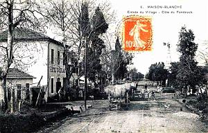 MAISON-BLANCHE - ENTREE DU VILLAGE - 1910